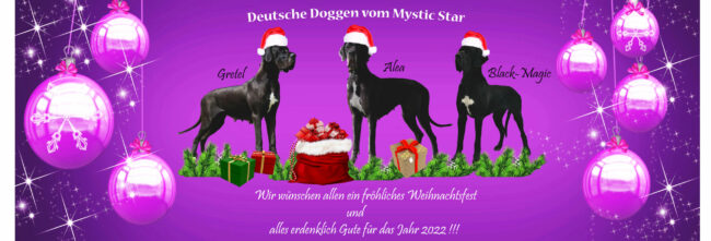 Weihnachten_2021_