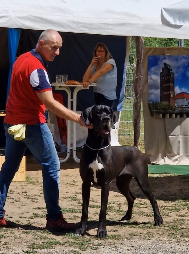 Screenshot_20220703-164055_Gallery