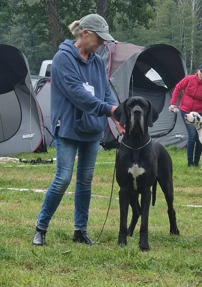 facebook_1663159495527_6975796524727156668