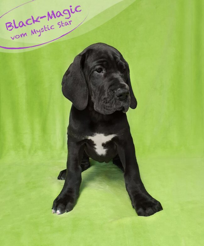 Black-Magic-vom-Mystic-Star-1