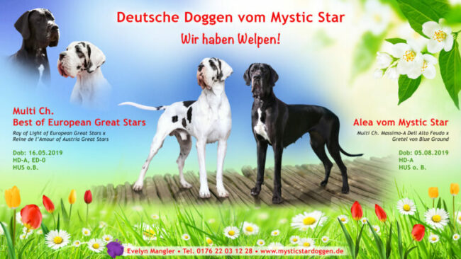 EV_2022_Wurf_02_lay09-768×432