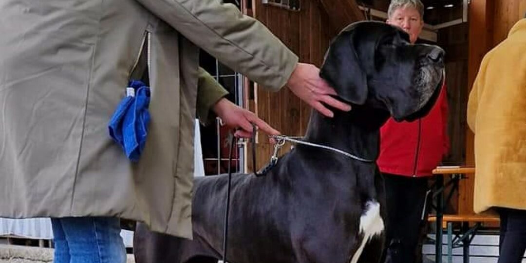 Screenshot_20230205_155112_Facebook