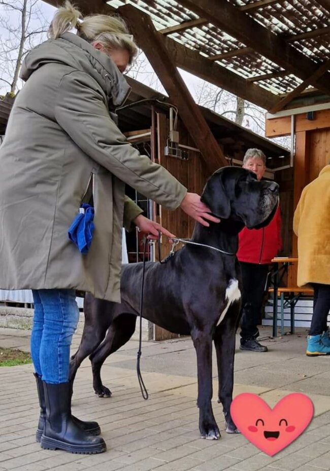 Screenshot_20230205_155112_Facebook