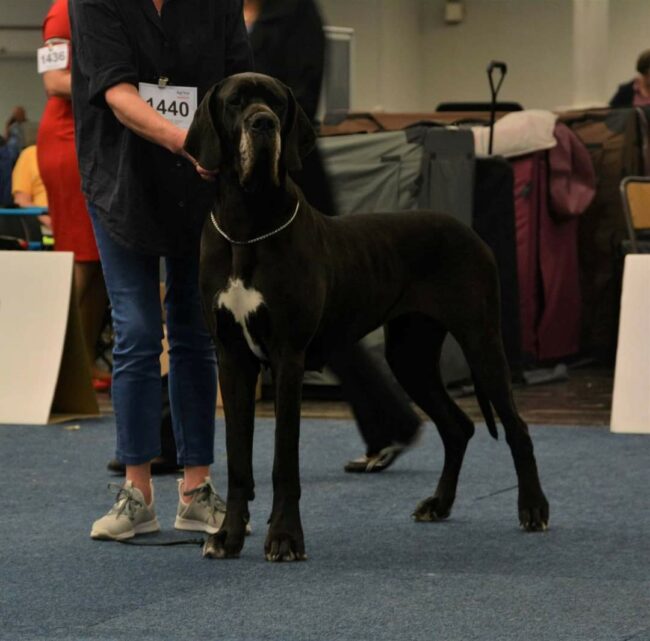 facebook_1686120737101_7072102952107698755