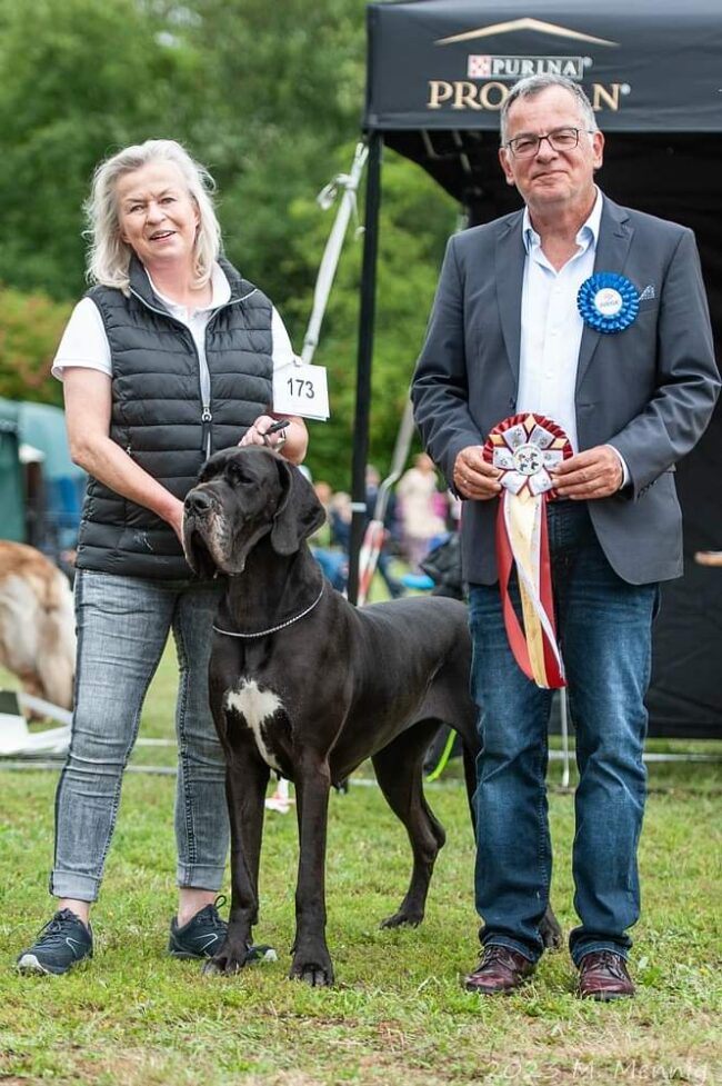 FB_IMG_1690569708474 (1)